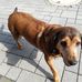 Anne Kapp - Facebook