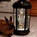 Anne Kapp - Facebook