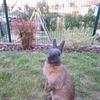 annekapp1675 - @annekapp1675 - TikTok