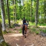 Anne Kasper - @annekasper2 - Instagram