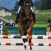 Anna Kaul - Facebook