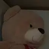 Anne.Kaul-Hahn - @connewrlf72 - TikTok