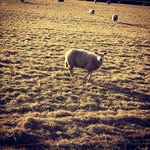 Anne Kaz Anne - @annekaz1984 - Instagram