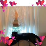 Anne Keefer - @keeferge - Instagram