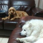 Anne Kehoe - @annekehoe11 - Instagram