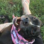 Jessica Anne Keidel - @creatures_of_mischief - Instagram