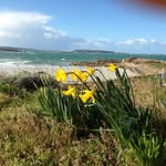 Anne Deboute Kempf - @annedeboute - Instagram