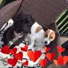 Anne Kendall - @anne.kendall8 - TikTok