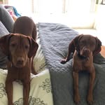 Anne Kendall Grier - @anneg25 - Instagram