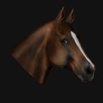 𝙆𝙖𝙟𝙖-𝘼𝙣𝙣𝙚 𝙆𝙚𝙣𝙡𝙚𝙮 - @kaja_eventing - Instagram