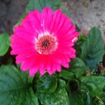 Ann Elmore Kennett - @annkennett335 - Instagram