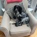 Annie Kennett - Facebook