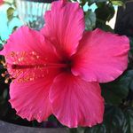 Anne Kenyon - @grandmomitis - Instagram