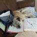 Anne Kenyon - Facebook