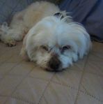 Annie Kepner - Facebook
