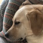 Anne Kerber - @anne.salentine.kerbs - Instagram