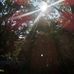 Annie Kerns - Facebook