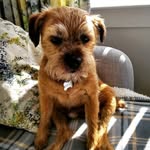 Anne Kerr - @6278_anne - Instagram