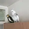 Anne Kerr - @annie.k.45 - TikTok