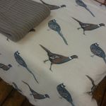 ANNE KERRIGAN - @adorabletandb - Instagram