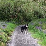 Anne Kerrigan - @anne_kerrigan - Instagram