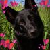 Anna Kerwin - Facebook