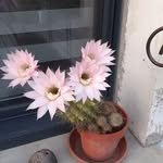 Anne-marie De keyser - @dekeykey07 - Instagram