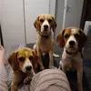 Annemarie Keyser - @annemarie.keyser - TikTok