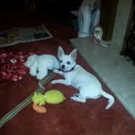 Ann Kidney - @kidneyann - Instagram