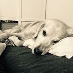 Anne - @anne_kiesendahl - Instagram