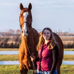 Anne-M. & Killian - @annemichelle_eq - Instagram