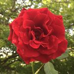 Kaylyn Anne Kilpatrick - @kaylynannephotography - Instagram
