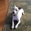 Ann Mary Siu Kinder - @annmarysiukinder - TikTok