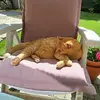 Anne De Kinder - @anne.de.kinder - TikTok