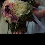Anne Kinder - @kinder93879 - Instagram