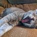 Anne Kirkpatrick - Facebook