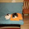 Anne Marie Kirsch - @anne.marie.kirsch - TikTok