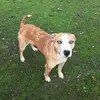 Ann E Kitchen - @ann.e.kitchen - TikTok
