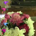 Anne Klee - Facebook