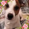 Anne Klee - @anne.klee - TikTok