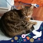 Anne Raymond Kleinert - @kleinertanne - Instagram