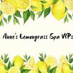 Anne Zanatta Kline - @anneszestfriends - Instagram
