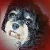 Anne Klinger - @anne.klinger1 - TikTok