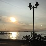 Anne Klinger - @anne38975 - Instagram
