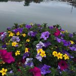 Anne klingner - @annek845 - Instagram
