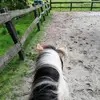 anneklok588 - @anneklok588 - TikTok