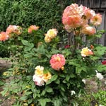 Anne Knapp - @anne__2807 - Instagram