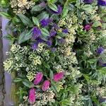 Anne Knauff - @knauff.anne - Instagram