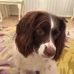 Anne Kneebone - @annekneebone - Instagram