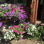 Anne Knepper - Facebook